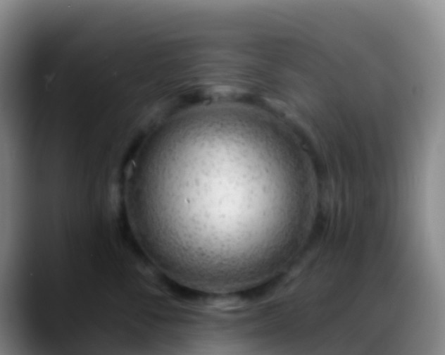 X0000088900716200706151848