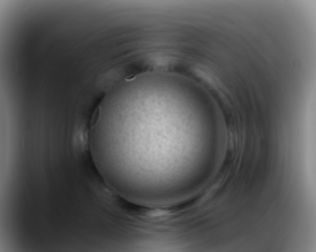 X0000088900718200706151848