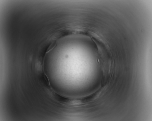 X0000088900719200706151848