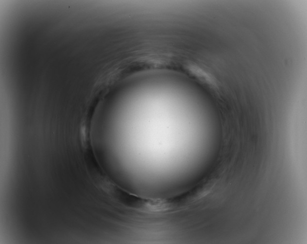X0000088900720200706151848