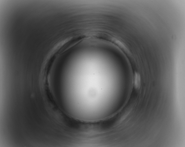X0000088900723200706151847