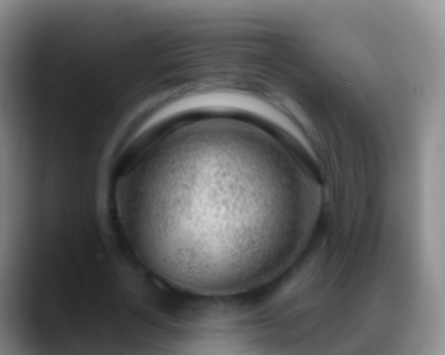 X0000088900724200706151847