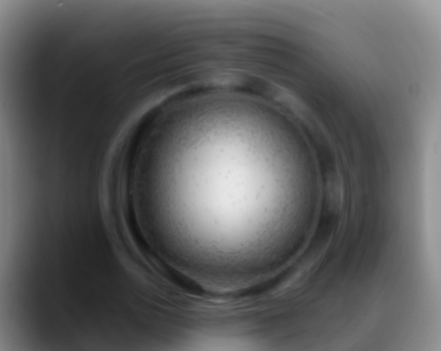 X0000088900726200706151847