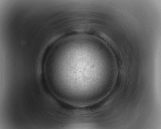 X0000088900727200706151847