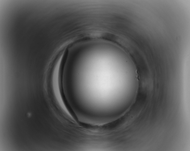 X0000088900728200706151847