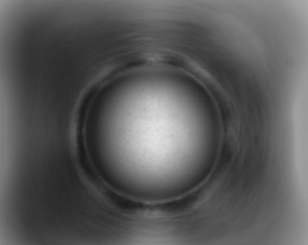 X0000088900730200706151847