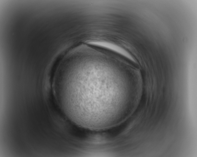 X0000088900731200706151847
