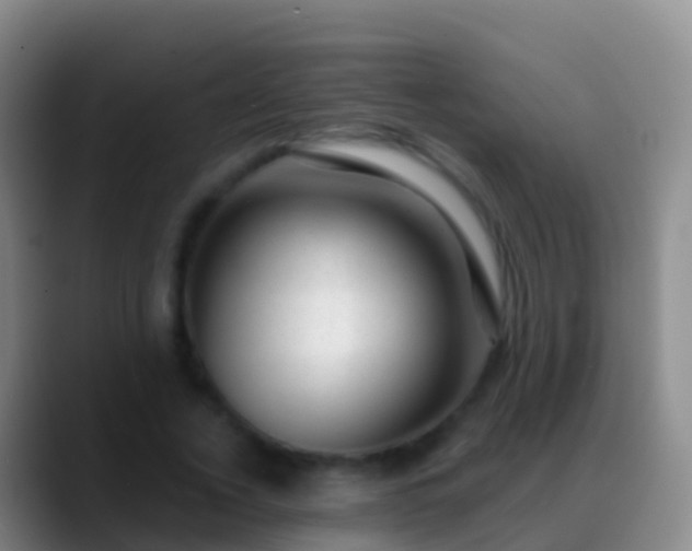 X0000088900732200706151847