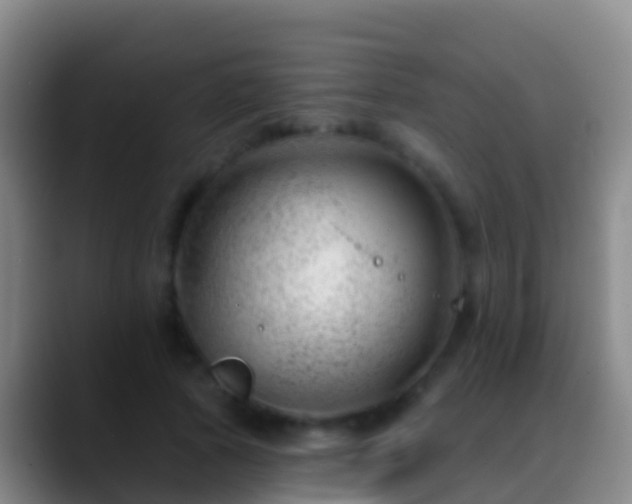 X0000088900737200706151847