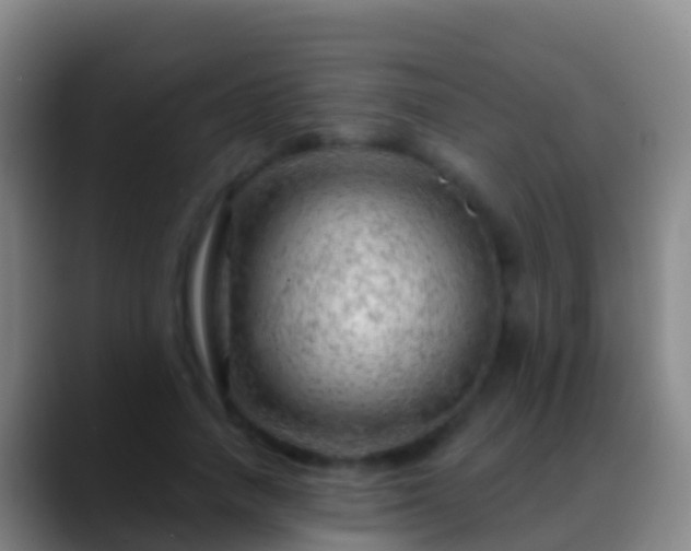 X0000088900738200706151847