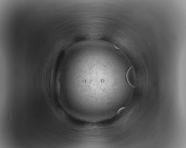 X0000088900742200706151847