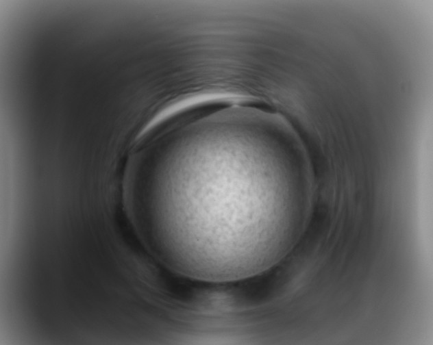 X0000088900743200706151847