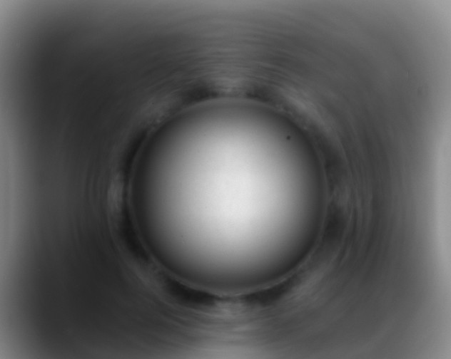 X0000088900744200706151848
