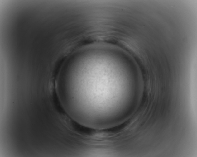 X0000088900746200706151848
