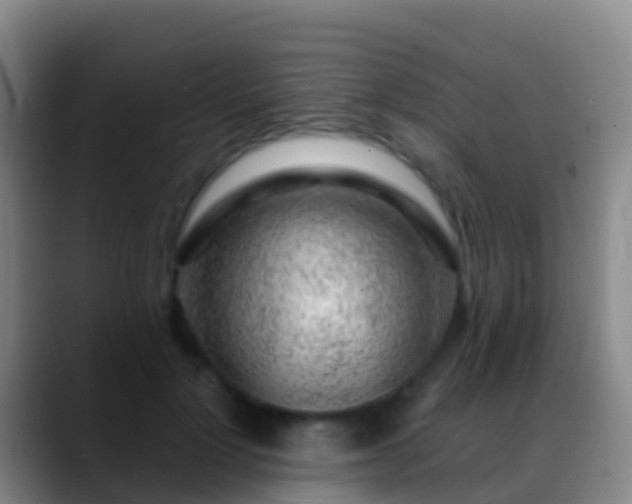 X0000088900748200706151848