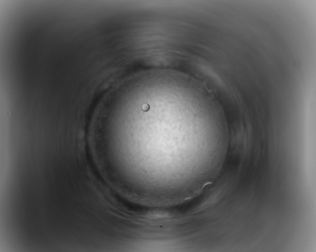 X0000088900749200706151848