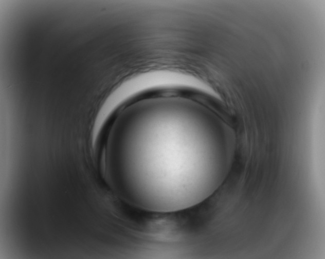 X0000088900750200706151848