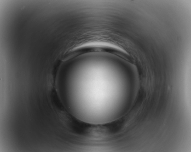 X0000088900752200706151848