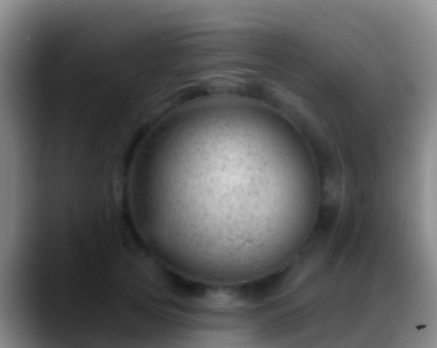 X0000088900753200706151848
