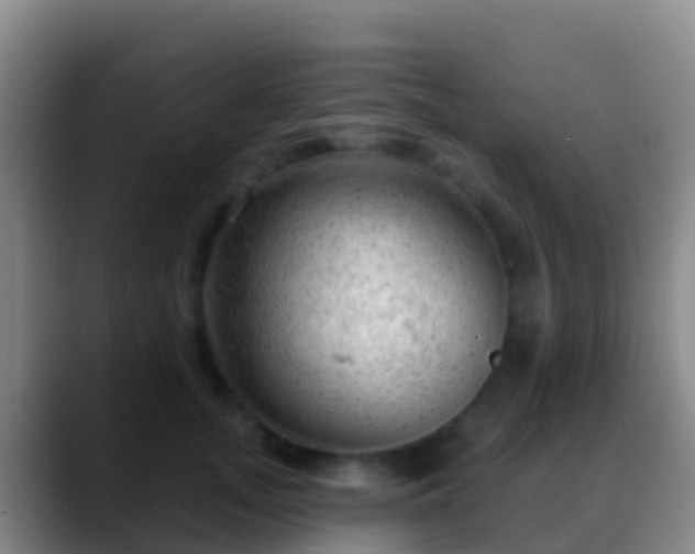 X0000088900755200706151848