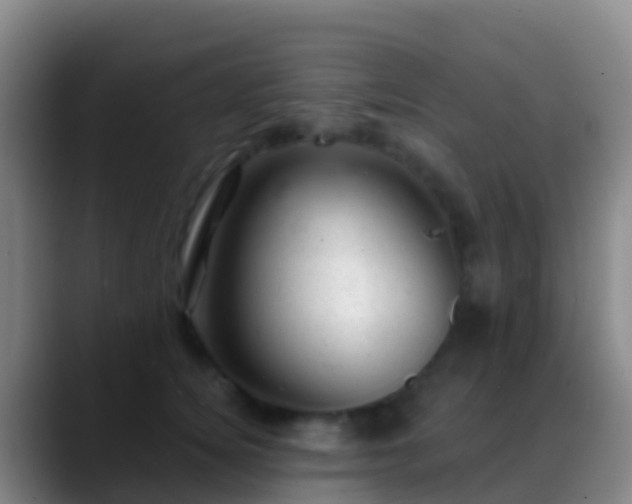 X0000088900756200706151848