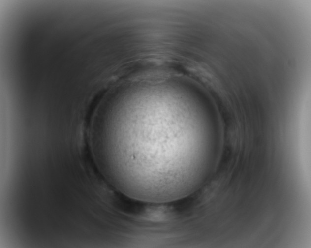 X0000088900757200706151848