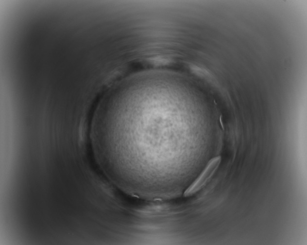 X0000088900760200706151848