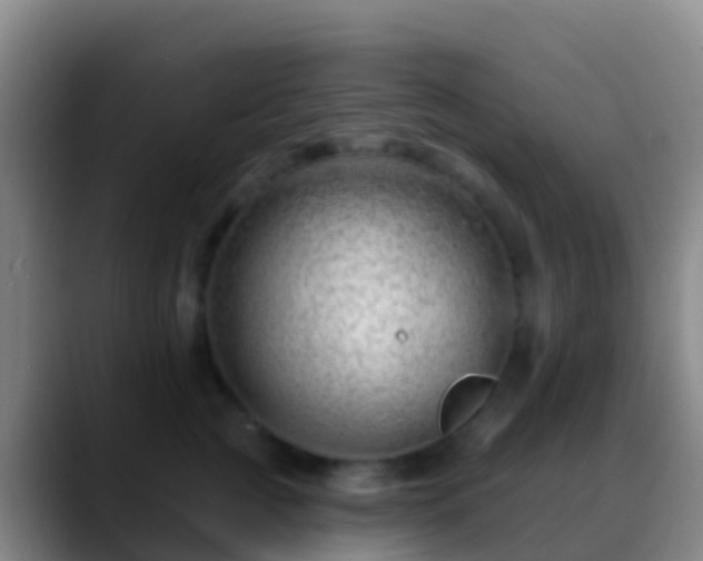 X0000088900761200706151848