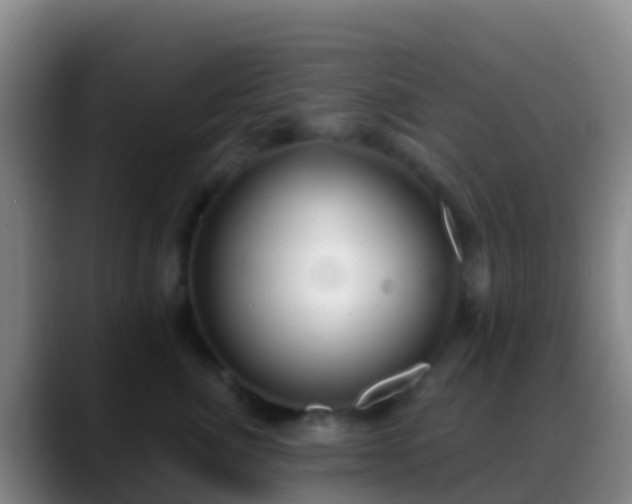 X0000088900764200706151848