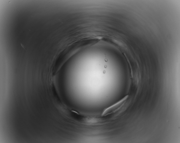 X0000088900766200706151848