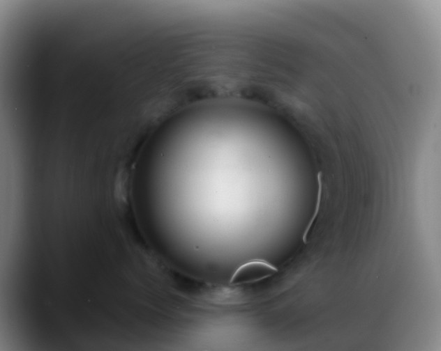 X0000088900768200706151848