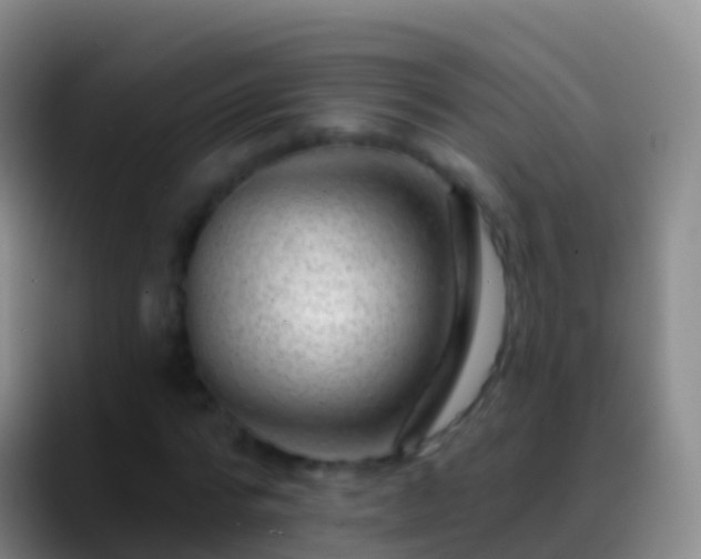 X0000088900776200706151847
