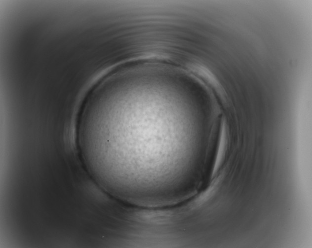 X0000088900780200706151847