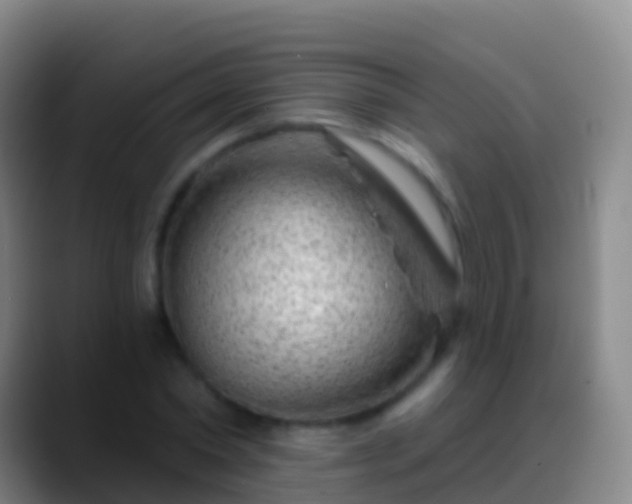 X0000088900782200706151847