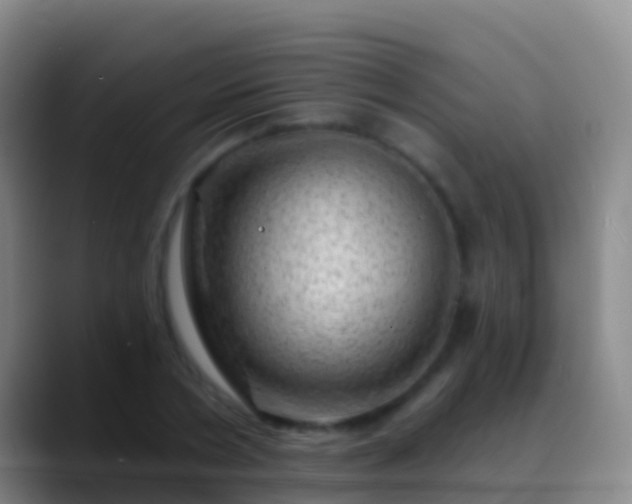 X0000088900786200706151847