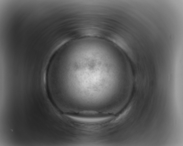 X0000088900790200706151847
