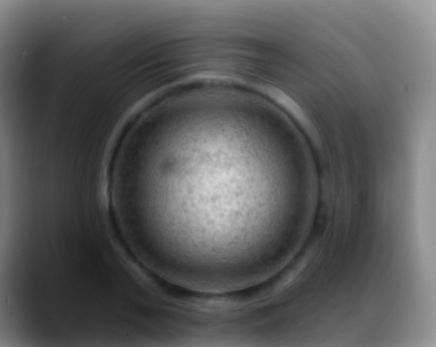 X0000088900791200706151847