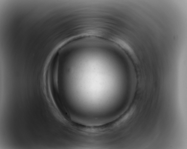 X0000088900792200706151847