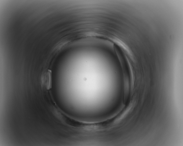 X0000088900793200706151847