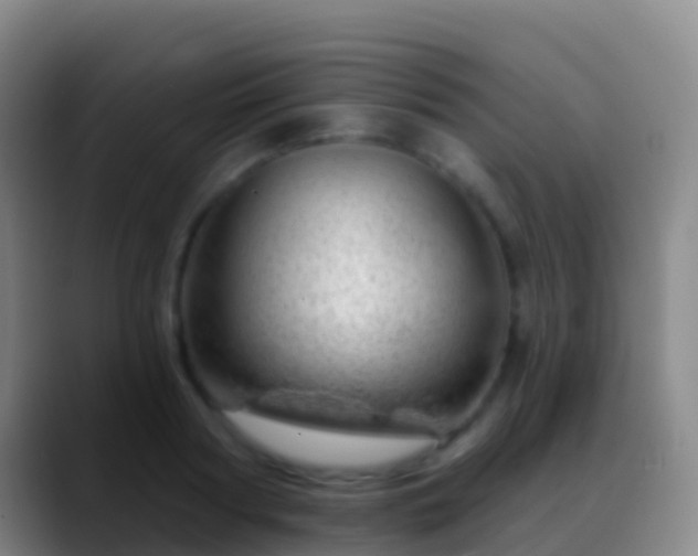 X0000088900794200706151847