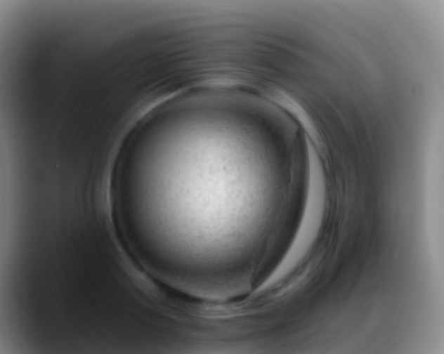 X0000088900795200706151847