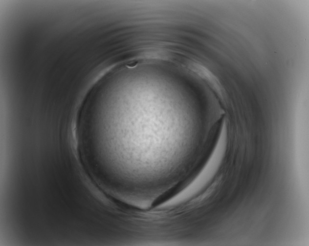 X0000088900796200706151847