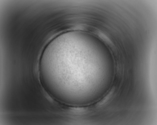 X0000088900800200706151847