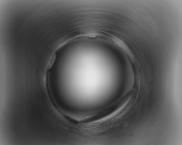 X0000088900805200706151847