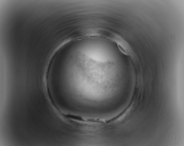 X0000088900806200706151847