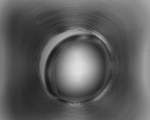 X0000088900809200706151847