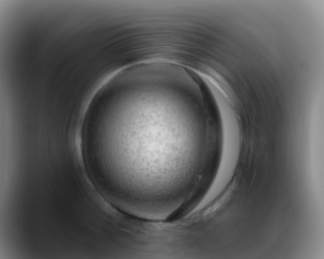 X0000088900812200706151847