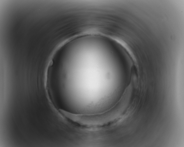 X0000088900815200706151847