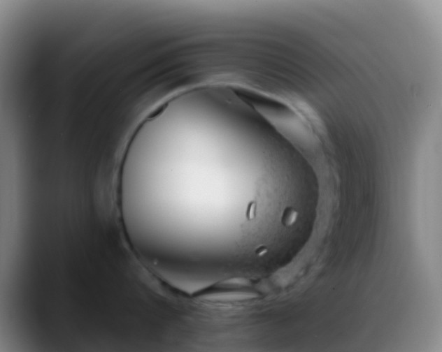 X0000088900816200706151847