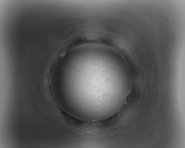 X0000088900817200706151846